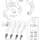 Imagen para el artículo titulado Guía de referencia anatómica humana de Capcom para que sus artistas den vida a los personajes
